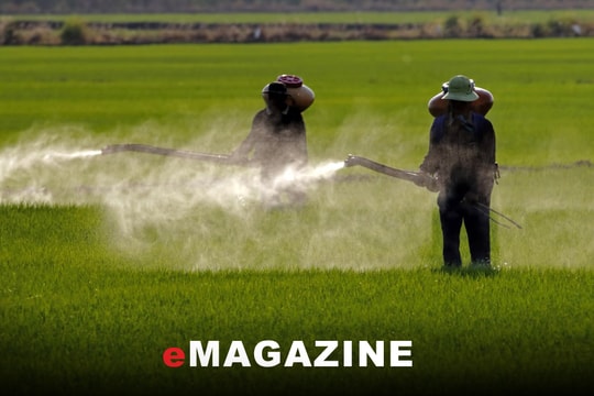 Sự thắng kiện của một người Mỹ và vấn đề đáng lo ngại ở Việt Nam