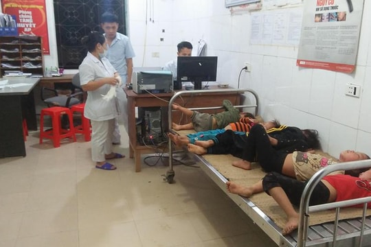 Nghệ An: 7 người phải nhập viện vì ong rừng đốt