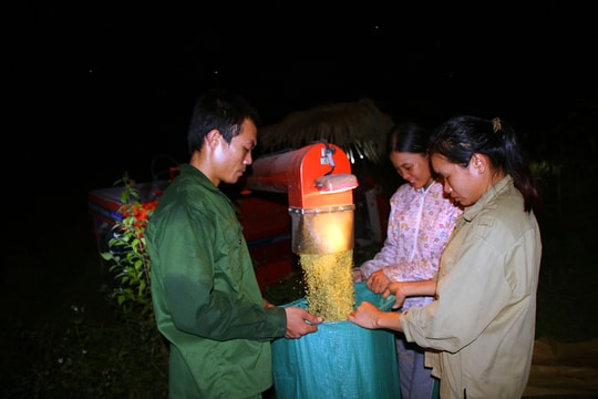 Dân bản vùng cao Nghệ An gặt lúa dưới trăng
