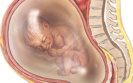 Khói thuốc lá ảnh hưởng như thế nào tới thai nhi?