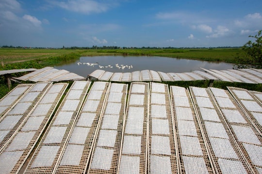 Sức sống làng nghề bánh tráng ở Hưng Phúc