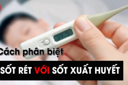 Dấu hiệu phân biệt sốt rét và sốt xuất huyết 