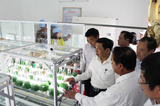 Quỳnh Lưu thu hút 300 tỷ đồng đầu tư phát triển công nghiệp