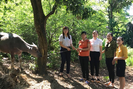 Nhiều gia đình viết đơn xin thoát nghèo nhờ mô hình... "lạ"