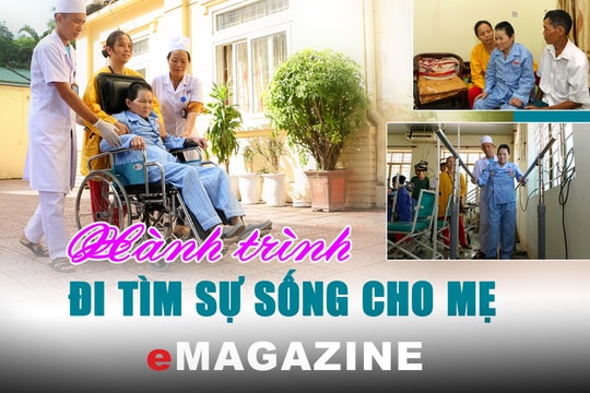 Hành trình đi tìm sự sống cho mẹ