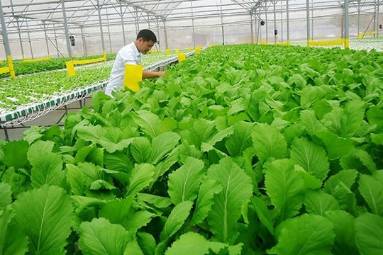 7 chính sách nổi bật có hiệu lực từ tháng 10/2018 