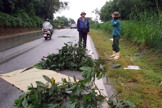 Người đàn ông tử vong trên quốc lộ sau tiếng động mạnh