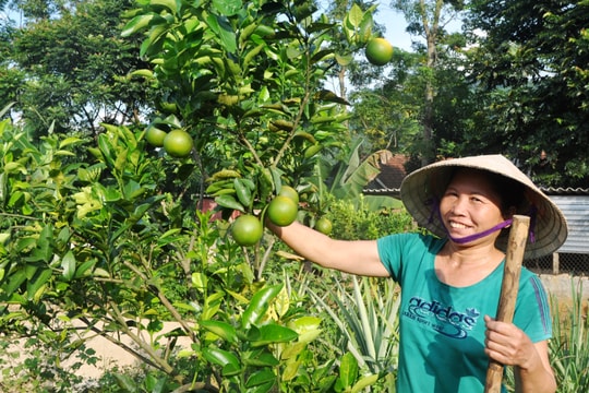 Kết quả nửa nhiệm kỳ thực hiện Nghị quyết Đại hội Đảng bộ huyện Quế Phong khóa XXI
