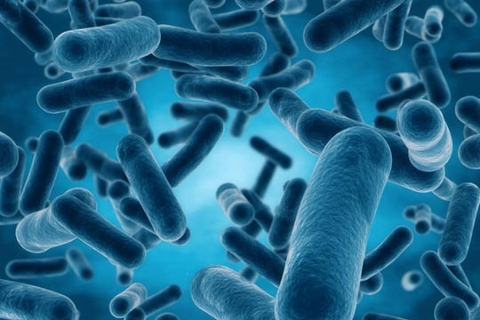 Tin vui cho bệnh nhân ung thư giai đoạn cuối