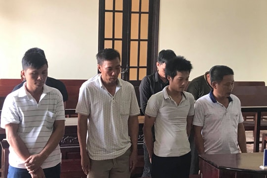 Xét xử 8 đối tượng tổ chức đánh bạc