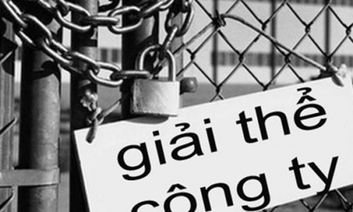 Nhiều doanh nghiệp Việt phá sản vì không biết chia lợi nhuận