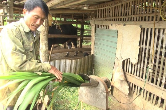 Người tiên phong trong mọi phong trào ở một xóm giáo