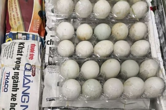 Mang trứng vịt lộn vào Singapore, 1 phụ nữ Việt bị phạt 150 triệu