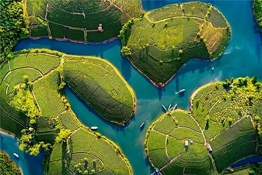 Thời tiết hôm nay 8/10: Miền Trung trời nắng, hanh khô 