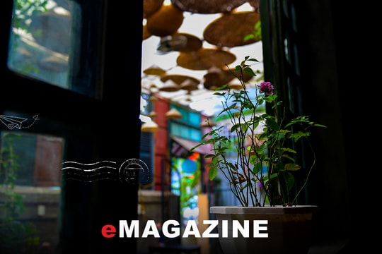 Phố Vinh ngày thu rất thật thu