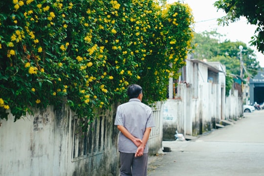 Những góc bình yên nên thơ giữa lòng thành phố