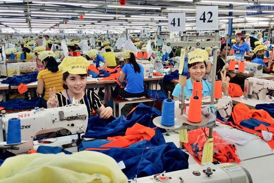 Nghệ An: Lương cao nhất 130 triệu/tháng, thấp nhất 2,6 triệu/ tháng