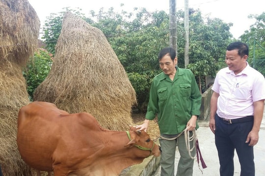 Nghệ An: Doanh số cho vay các đối tượng chính sách tăng 7%