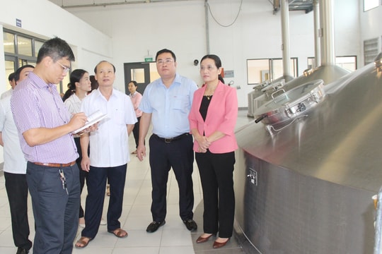 HĐND tỉnh giám sát công tác bảo vệ môi trường tại 2 nhà  máy ở Hưng Nguyên