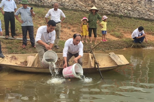 Thả 2 triệu con cá giống tái tạo nguồn thủy sản  ​