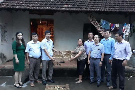 Tân Kỳ hỗ trợ hộ nghèo phát triển sản xuất