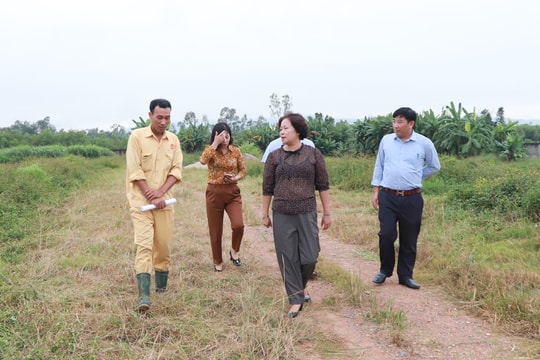 HĐND tỉnh giám sát công tác bảo vệ môi trường tại Trại lợn giống ngoại Thái Dương