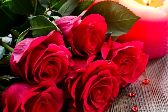 Những lời chúc ngày Phụ nữ Việt Nam 20/10 ý nghĩa nhất