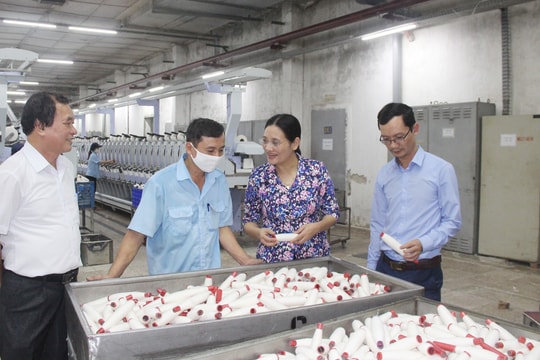 HĐND tỉnh yêu cầu Công ty CP Dệt may Hoàng Thị Loan khắc phục bất cập về môi trường