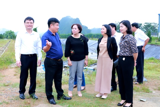 HĐND tỉnh giám sát về môi trường tại Nhà máy chế biến tinh bột sắn ở Anh Sơn