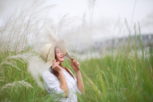 Vẻ đẹp trinh nguyên của bãi lau bên triền sông Lam