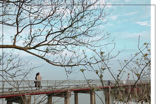 Thời tiết 20/10: Xuất hiện vùng áp thấp ngoài khơi, Trung bộ có mưa