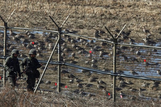 Hàn - Triều nhất trí rút trạm gác biên giới; Saudi Arabia không tái áp đặt cấm vận dầu mỏ