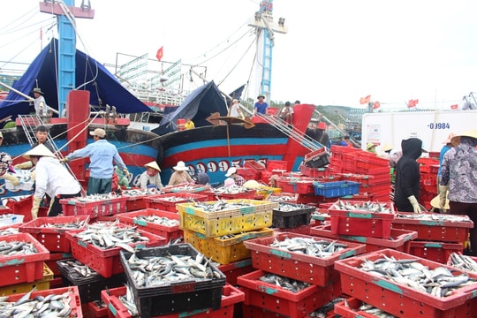 Thuê tàu 67 ra khơi, ngư dân Quỳnh Lưu thu nhập hàng trăm triệu đồng/chuyến