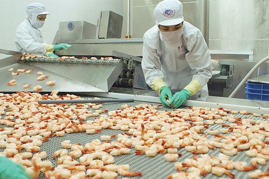 Hiệp định thương mại tự do Việt Nam - EU: Kỳ vọng và thách thức