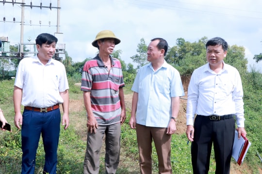 Nghĩa Đàn: Cơ sở chế biến tinh bột sắn hoạt động 16 năm gây ô nhiễm môi trường