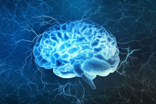 Sắp có bộ não 3D giống hệt não người đầu tiên trên thế giới