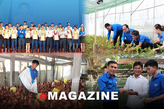 Khởi nghiệp trên đất quê hương