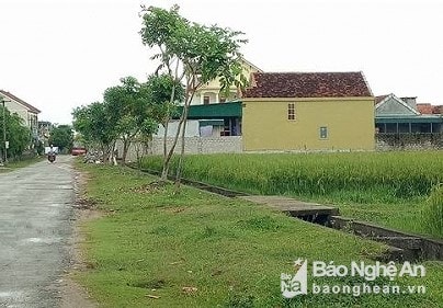 Nghệ An: Kiến nghị thu hồi gần 35 tỷ đồng sau thanh tra