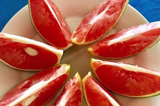 Thanh Chương trồng thành công cam Úc ruột đỏ