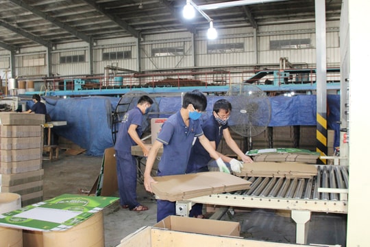 Tăng cường kiểm tra, xử lý nghiêm vi phạm về bảo vệ môi trường trong KKT Đông Nam