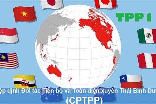 CPTPP ấn định thời điểm hiệu lực: Bước ngoặt lớn với Vành đai Thái Bình Dương
