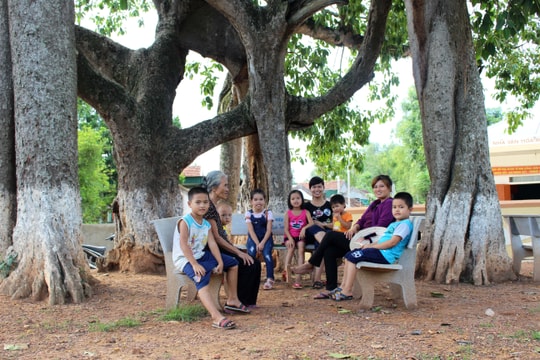 Kỳ thú những cây đa hàng trăm tuổi ở Nghệ An