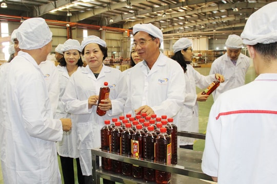 HĐND tỉnh giám sát tại công ty Masan 