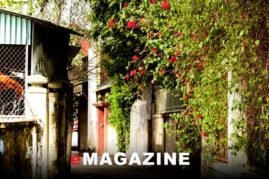 Thư viết ở hẻm số 1