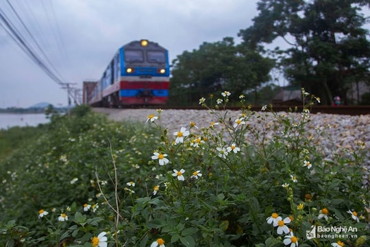 Thời tiết 2/11: Miền Trung ngày nắng, đêm se lạnh