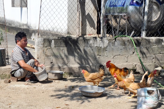 Nghị lực phi thường của người đàn ông di chuyển bằng đôi tay