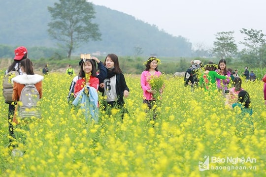 Thời tiết 3/11: Nghệ An ngày hanh khô, đêm và sáng có nơi chỉ 18 độ