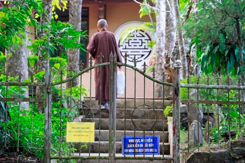 Phật tử về chùa Từ Hiếu mong gặp thầy Thích Nhất Hạnh