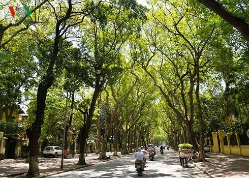 Thời tiết ngày 4/11: Hầu hết các vùng trong cả nước đều nắng ráo