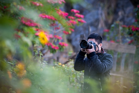 Quyến rũ cung đường hoa biên cương Nghệ An